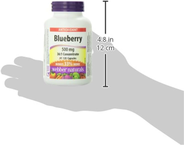 Webber Naturals 藍莓,120 粒膠囊,抗氧化支持