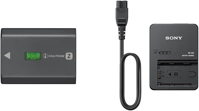 Sony NPFZ100 充電電池組 + BCQZ1 電池充電器 DSC 配件