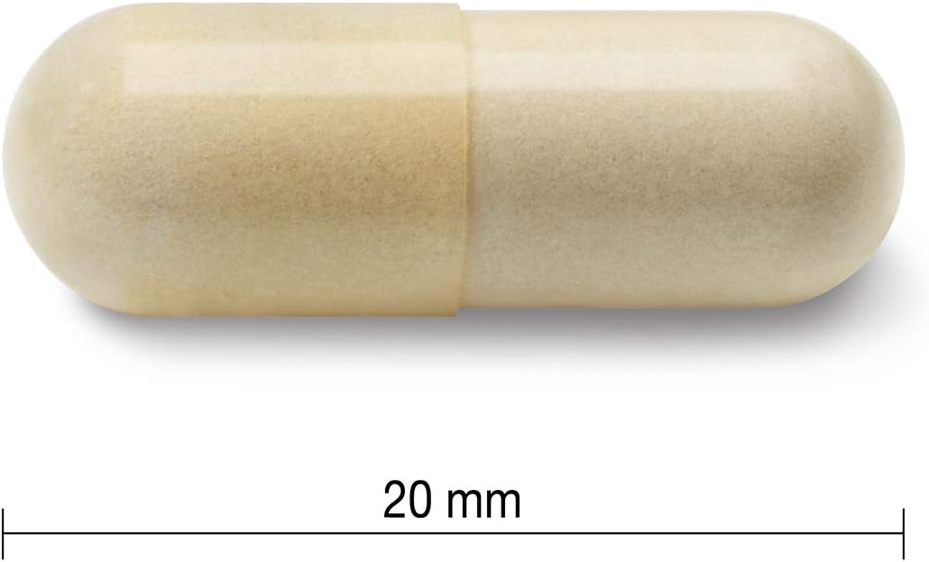 Jamieson 葡萄糖胺 500 毫克,缓解关节疼痛,支持骨关节炎,并防止软骨退化。非转基因,无麸质,360 粒胶囊,加拿大制造