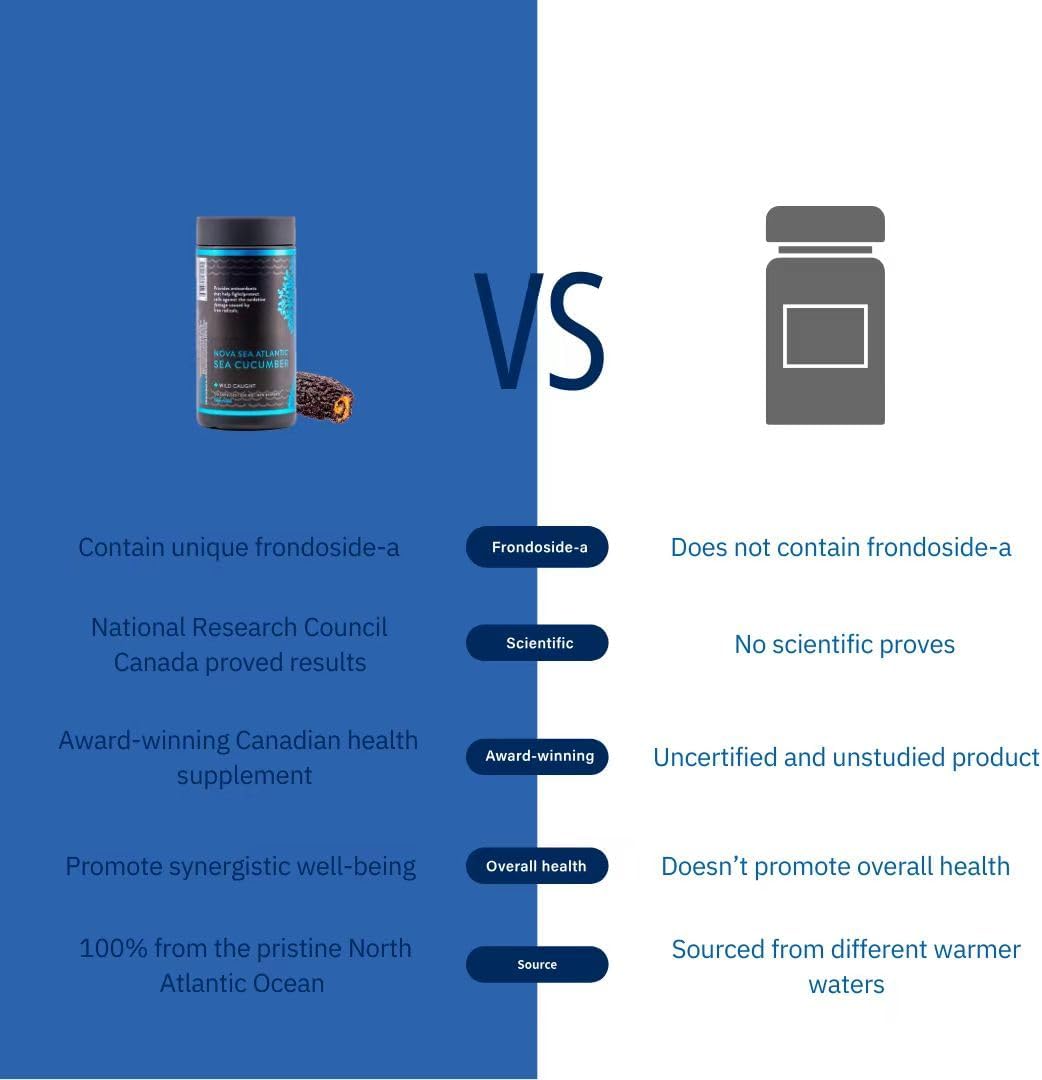 Nova Sea Atlantic Wild Sea Cucumber Supplement Capsules Antioxidant Healthy Energy Supplement with Fucosylated Chondroitin Sulfate Collagen Glycosides Vitamins Minerals