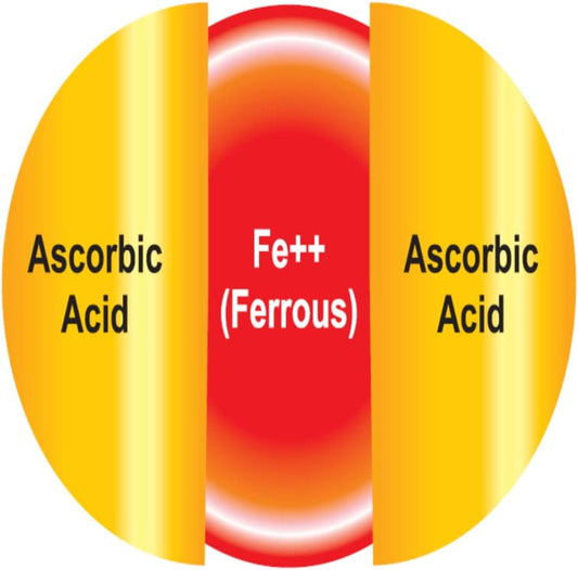 EBMfer 鐵劑,含維生素 C | 每日 1 粒 | 溫和 | 純素 | 提升能量 | 100 毫克高效能 | 30 粒膠囊