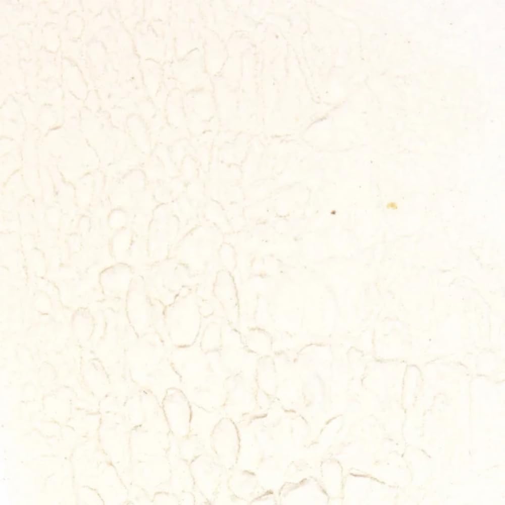 Splendor Garden 有機竹芋粉 - 454 克