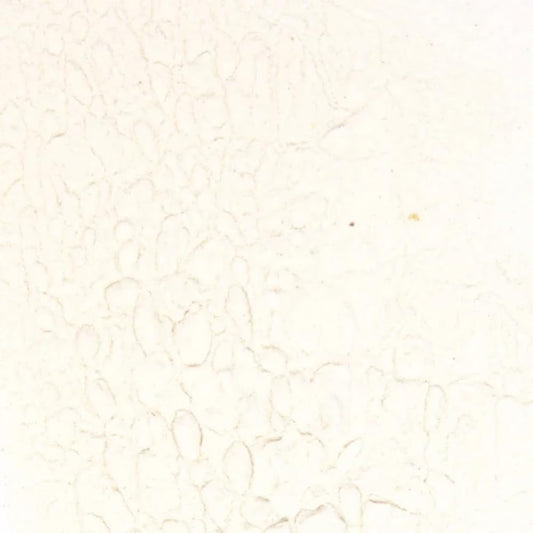 Splendor Garden 有机竹芋粉 - 454 克