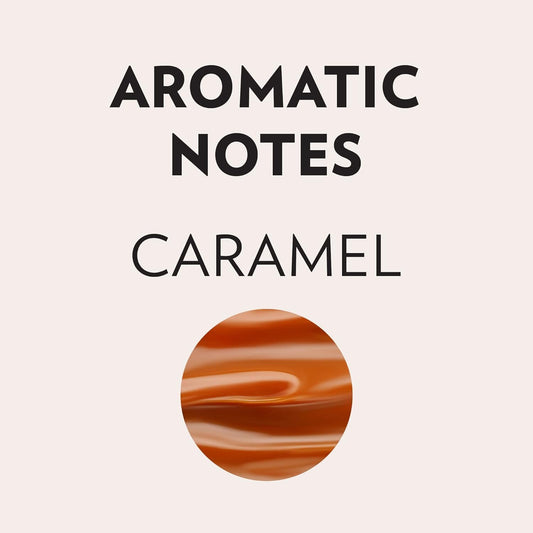 Lavazza Perfetto 研磨咖啡混合物,中度烘焙,非基因改造,100% 阿拉比卡咖啡豆,口感濃鬱 - 6 x 340 克