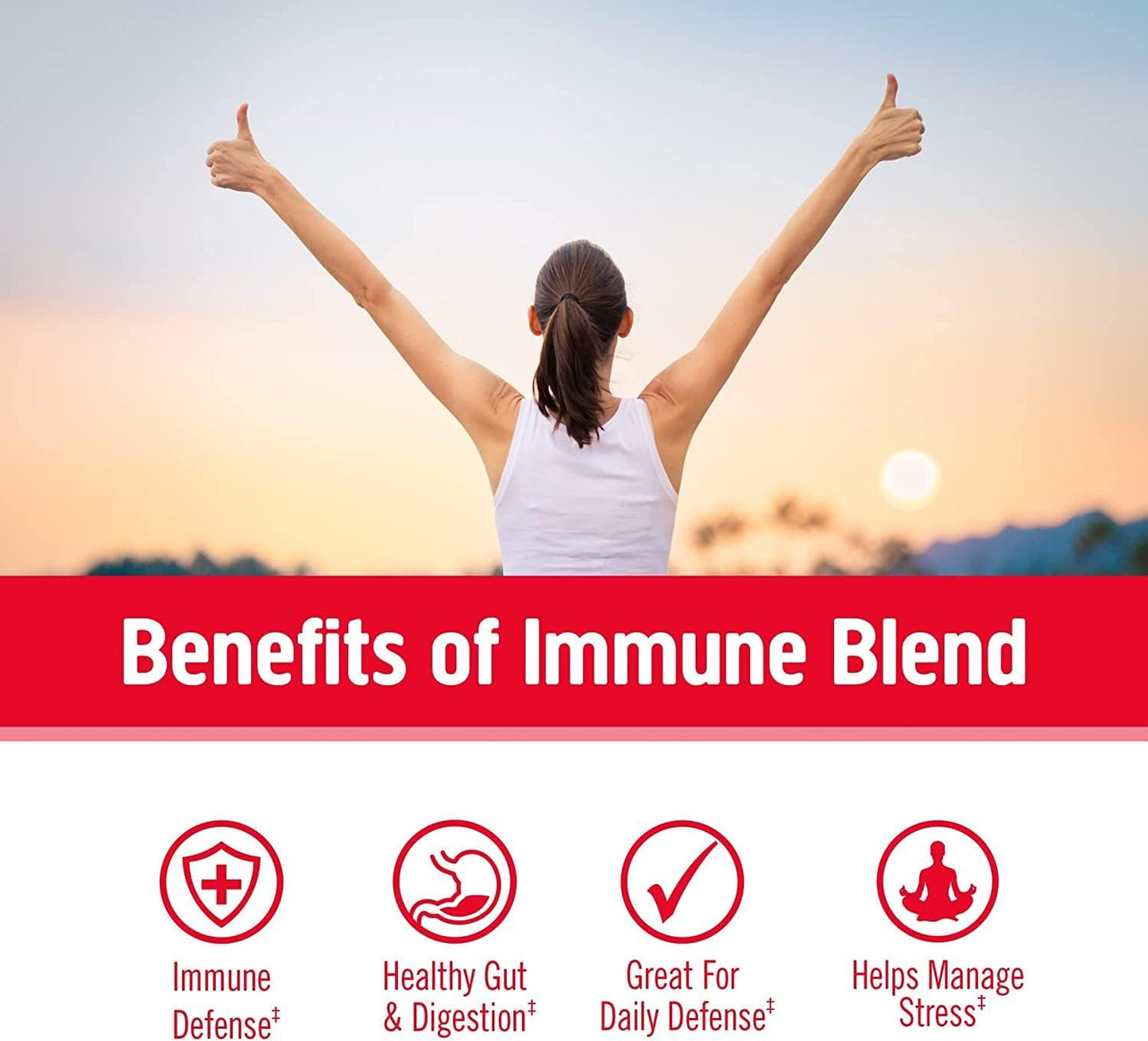 Immune Defense Mushroom 697mg