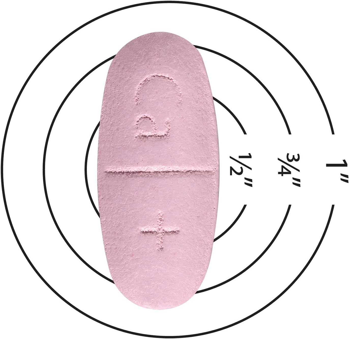 Caltrate Plus Vitamin D3 and Calcium Supplement, 600 mg Tablet, 60 Count