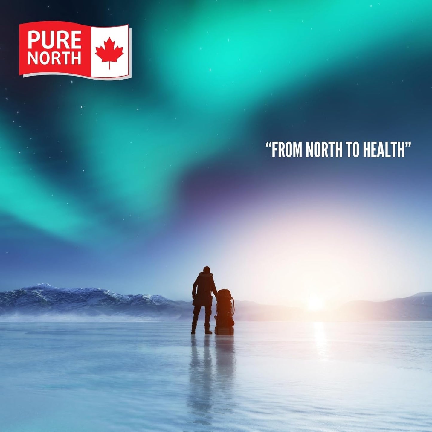 Pure North Naturals - 有機南非醉茄,含 BioPerine,75 粒素食膠囊,18 天用量 - 提高能量、認知功能和記憶力 - 經第三方測試 - 加拿大配製和製造