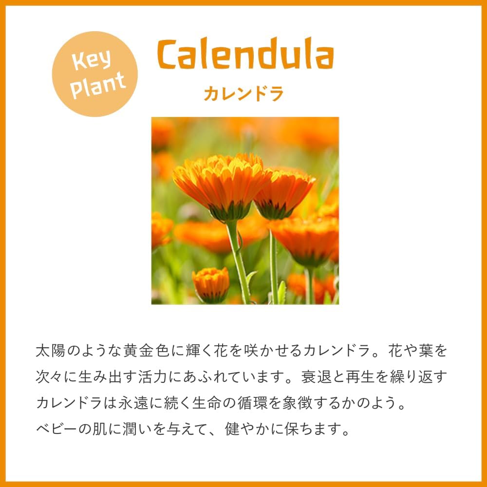 Weleda 婴儿金盏花面霜 50ml
