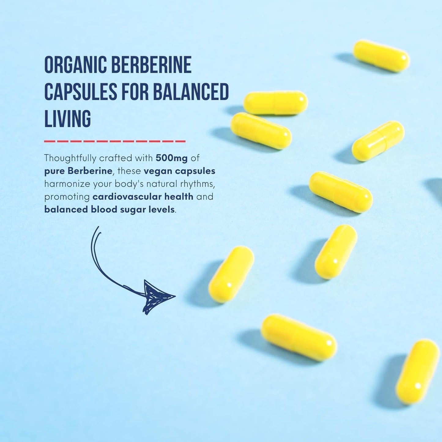 Pure North Naturals - 小蘗鹼 500 毫克,150 粒素食膠囊,75 天用量 - 支持血糖代謝 + 心血管健康和腸道健康 - 經第三方測試 - 加拿大配製和製造