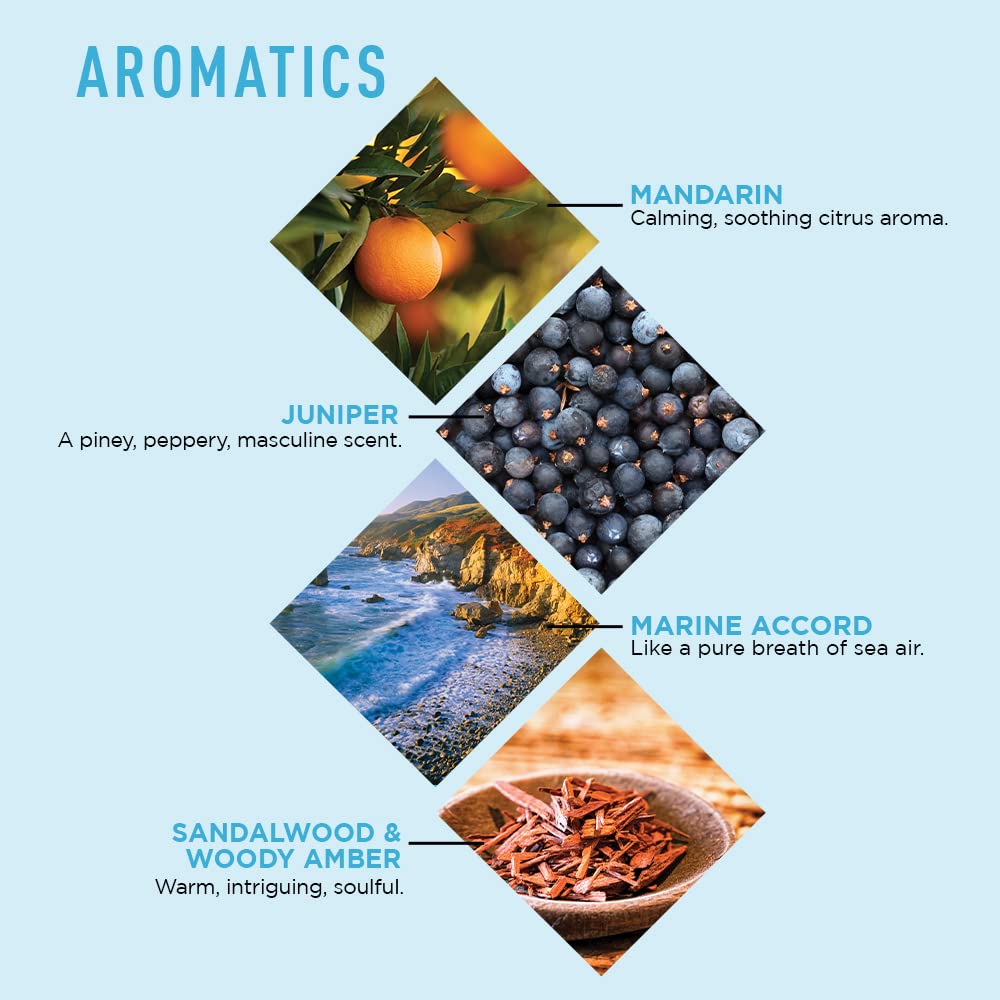 Jack Black - Big Sir Body & Hair Cleanser - Energizing & Moisturizing 2-in-1 Wash - 975ml