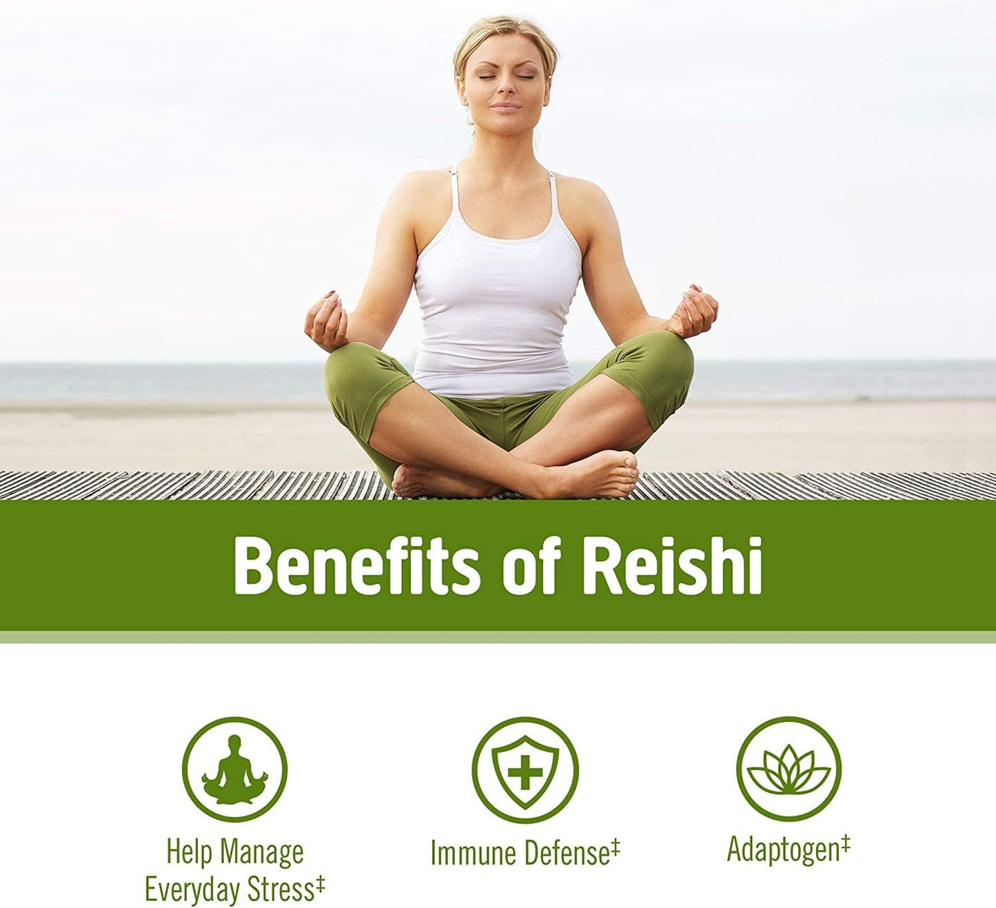 Om Reishi Mushroom 667mg 75 count