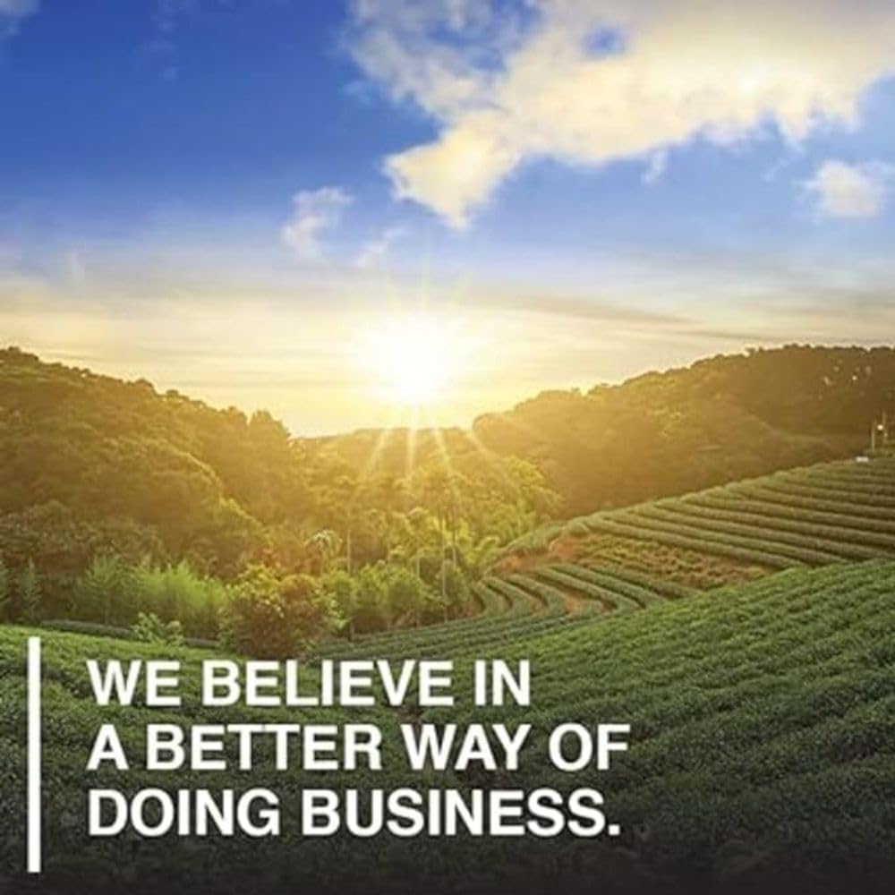 Garden of Life 生食全效营养奶昔,巧克力可可口味(28 份,1017 克),富含 20 克有机认证植物蛋白,营养丰富,有助于增强肌肉。配合规律训练和健康均衡的饮食,有助于增肌。