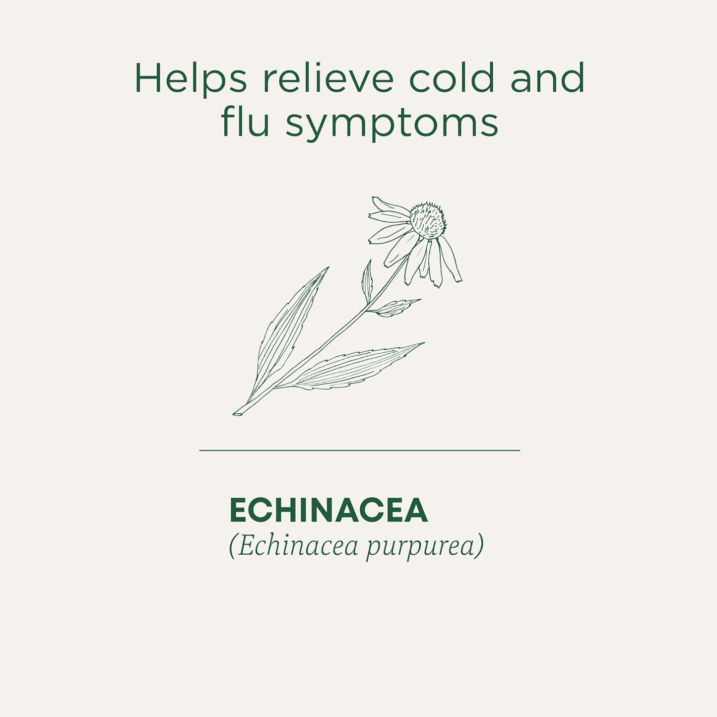 Traditional Medicinals - 有機紫錐菊加草藥茶(1 包)- 幫助緩解感冒和流感症狀 - 共 16 個茶包