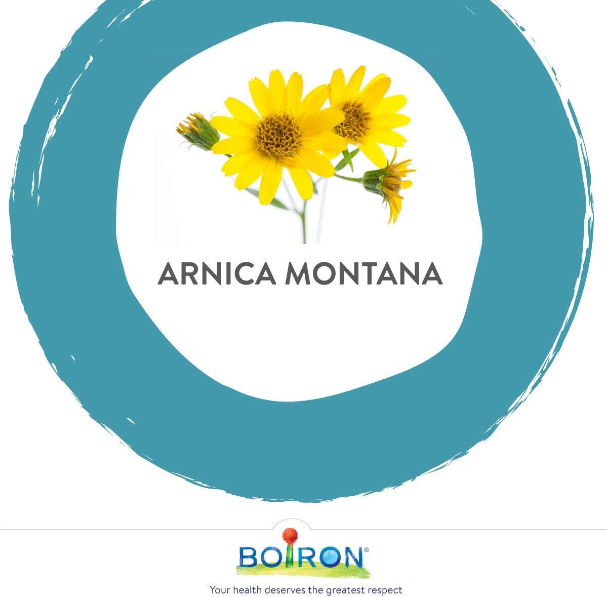 Arnica Montana 30ch,3 支装,Boiron 顺势疗法药物,多剂量管 & Arnicare 瘀伤肿胀、肿块和水肿,天然来源,45 克