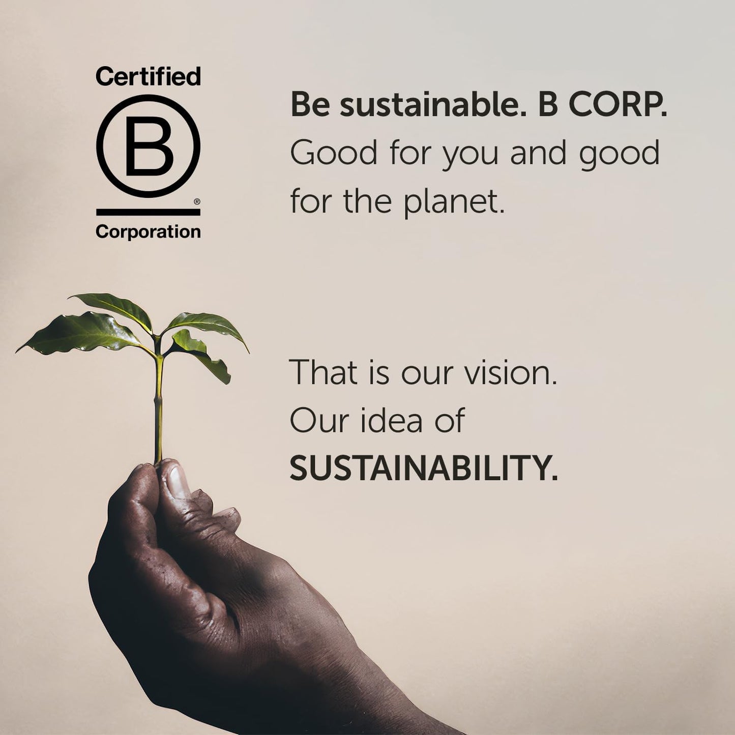 illy 速溶咖啡 - 100% 阿拉比卡咖啡 - 经典中度烘焙 - 焦糖、橙花和茉莉花香 - 易于冲泡 - 方便速溶咖啡 - 意大利烘焙 - 95.00 克(1 包)