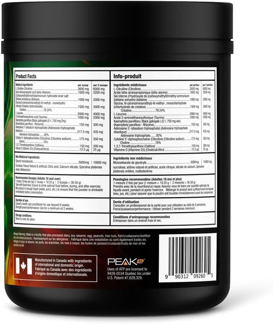 BULL Nutrition 12 STRONG - 含甘油、L-瓜氨酸、β-丙氨酸和肌酸补充剂的运动前粉末,可促进肌肉生长并提高耐力、力量、专注力和能量输出 - 加拿大制造 - 40 份……