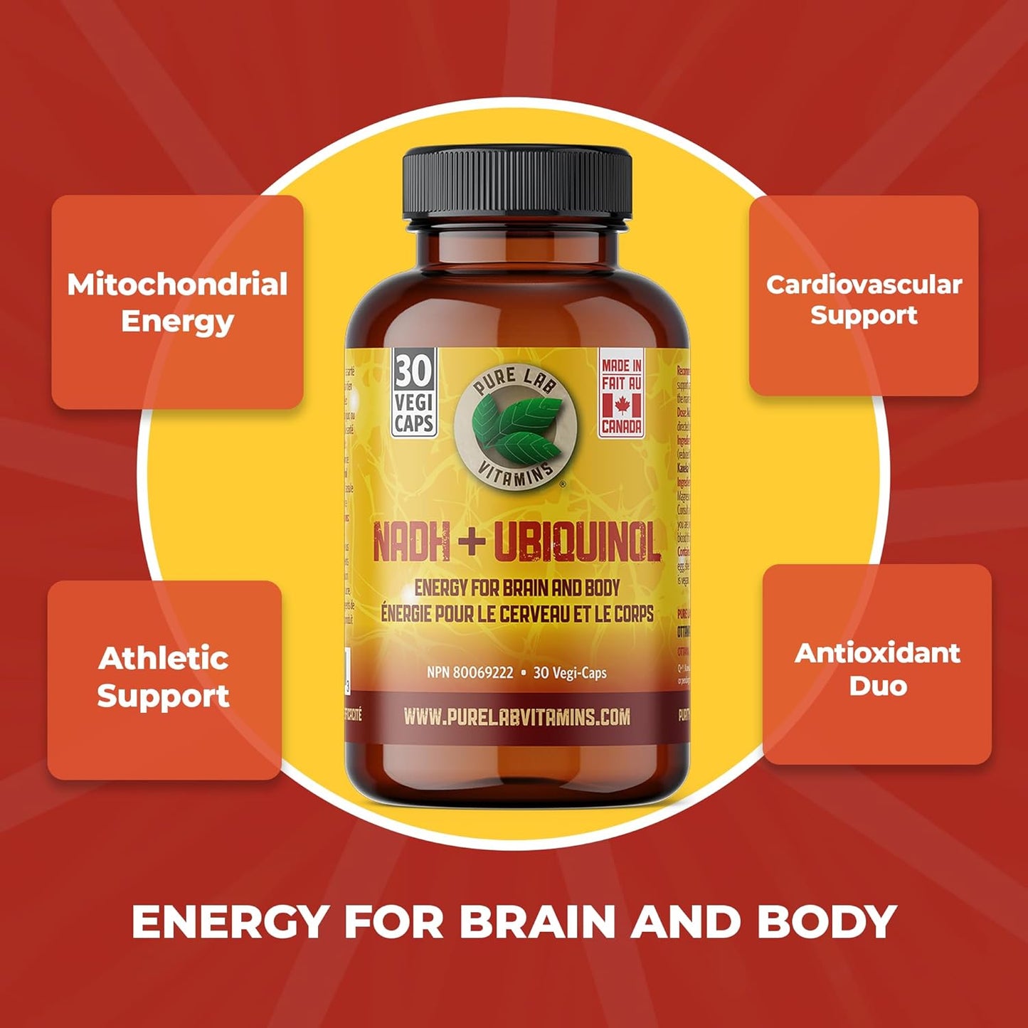 Pure Lab Vitamins | NADH Nicotinamide Adenine Dinucleotide + Coq10 Ubiquinol | 30 Capsules | Vitamin B3 Supplement | B3 Vitamin Nicotinamide Supplement | Brain Energy, Mental Clarity Supplemet