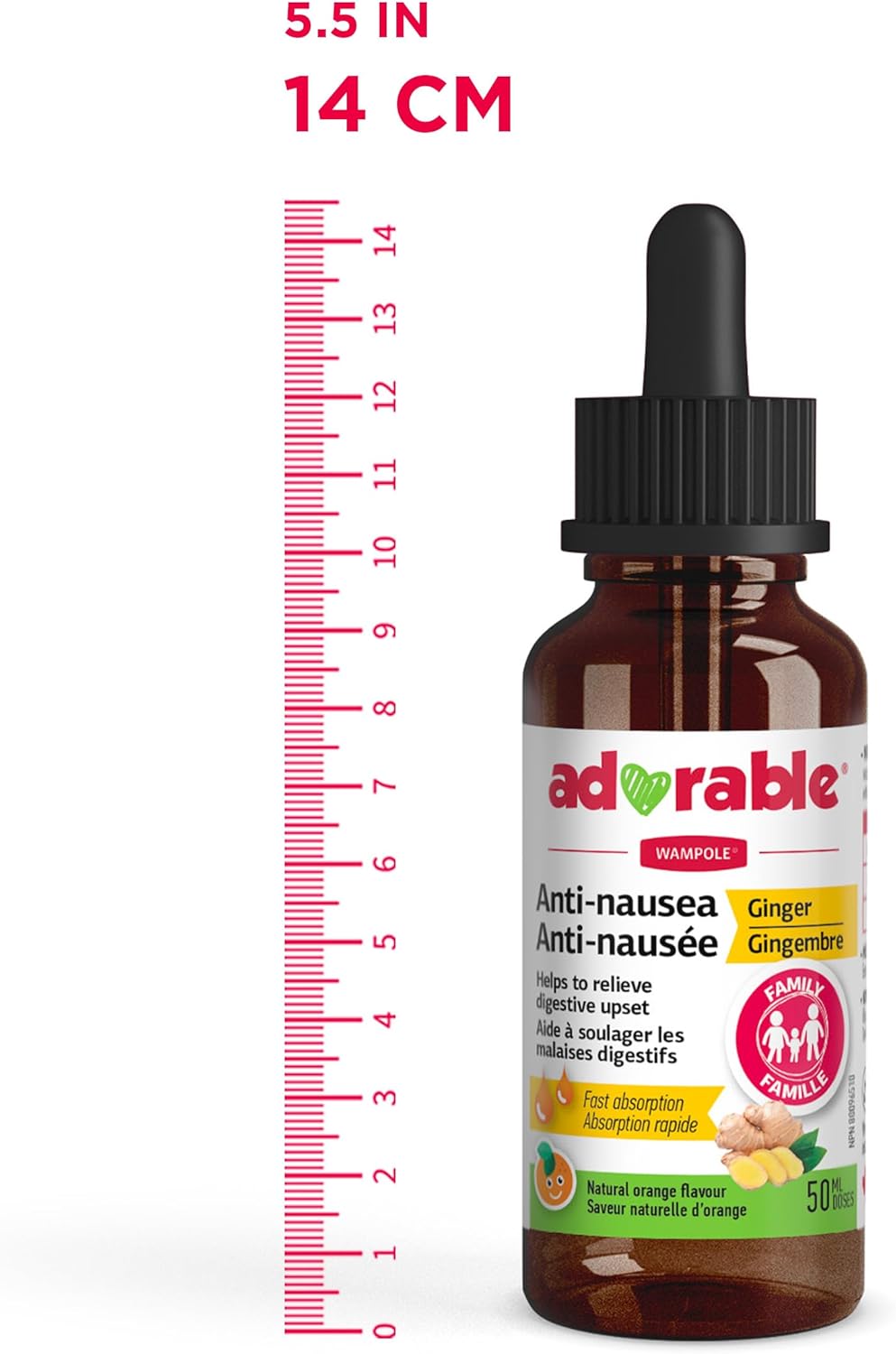 Adorable Anti-Nausea Ginger Liquid – Non-Drowsy Nausea & Upset Stomach Formula – 60 mg of Ginger per dose - 50 mL