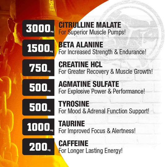 MAMMOTH PUMP – 運動前粉末,卓越的肌肉泵感,增強力量和耐力,補充爆發力和能量,提高專注力,快速恢復,減輕酸痛(30 份,藍莓味)