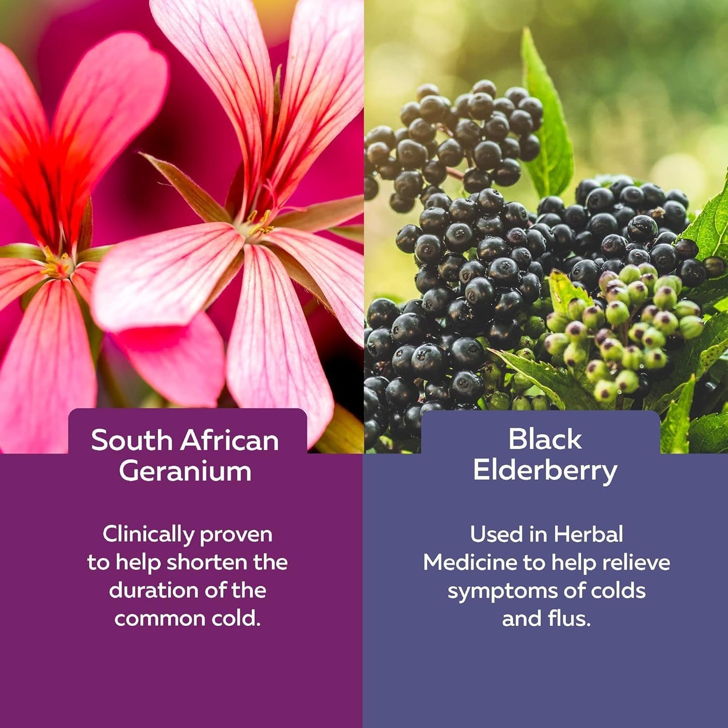 Nature's Way 接骨木免疫感冒和流感护理接骨木软糖和接骨木感冒和流感缓解接骨木儿童软糖