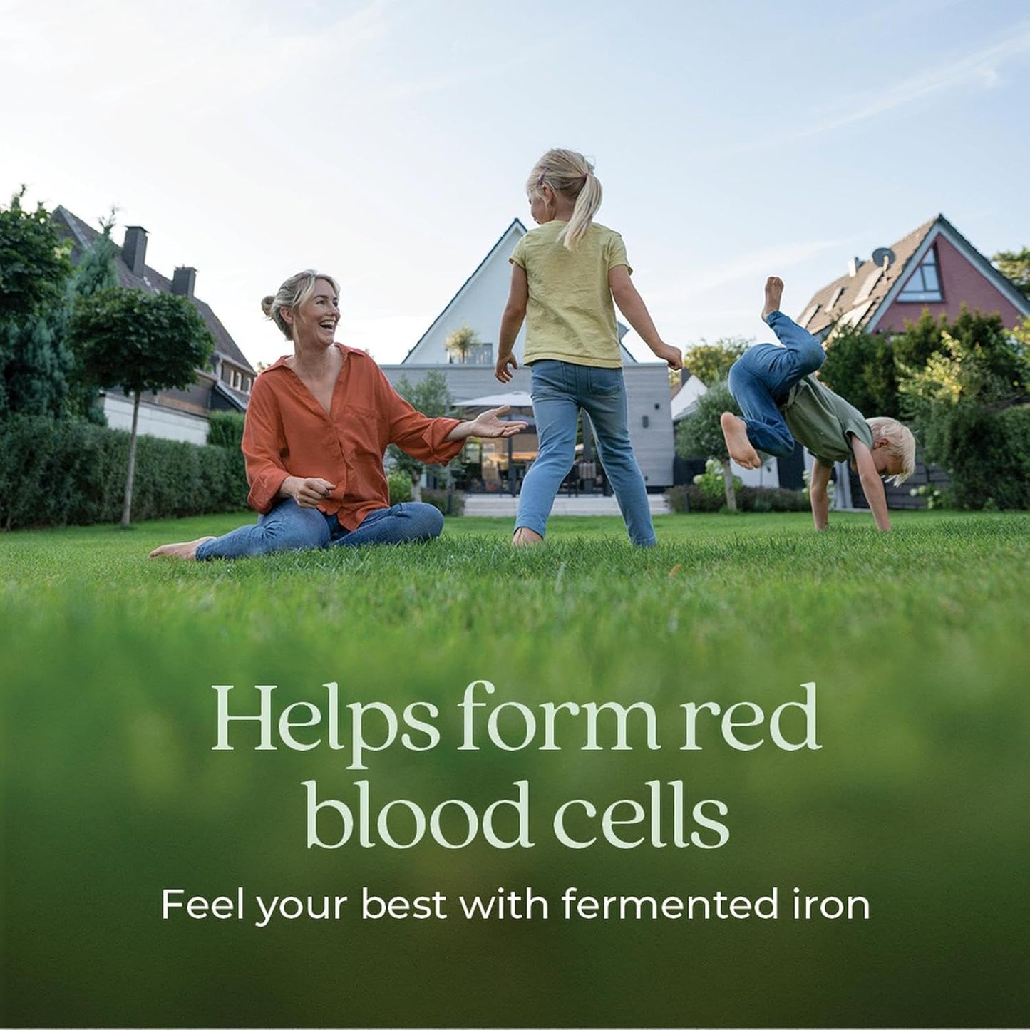 New Chapter 發酵鐵補充劑 - 鐵食品複合物,含機非基因改造成分 - 60 粒