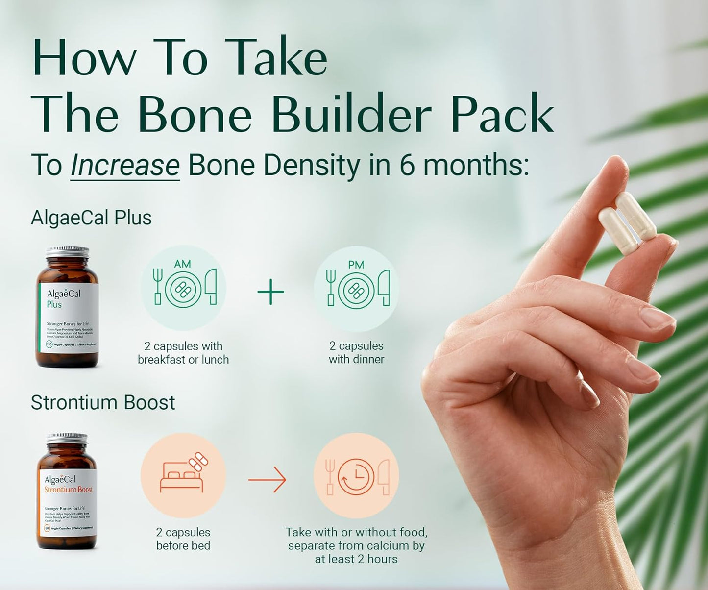 AlgaeCal - Bone Builder Pack for Bone Density, Clinically Supported Plant Based Calcium & Strontium Supplement with Vitamin D3, K2, Magnesium & Trace Minerals for Bone Health, 3 pack, Made in Canada