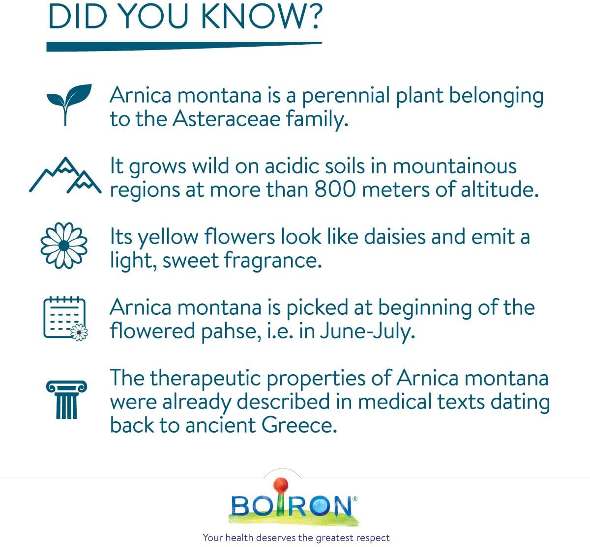 Arnica Montana 30ch,3 支装,Boiron 顺势疗法药物,多剂量管 & Arnicare 瘀伤肿胀、肿块和水肿,天然来源,45 克