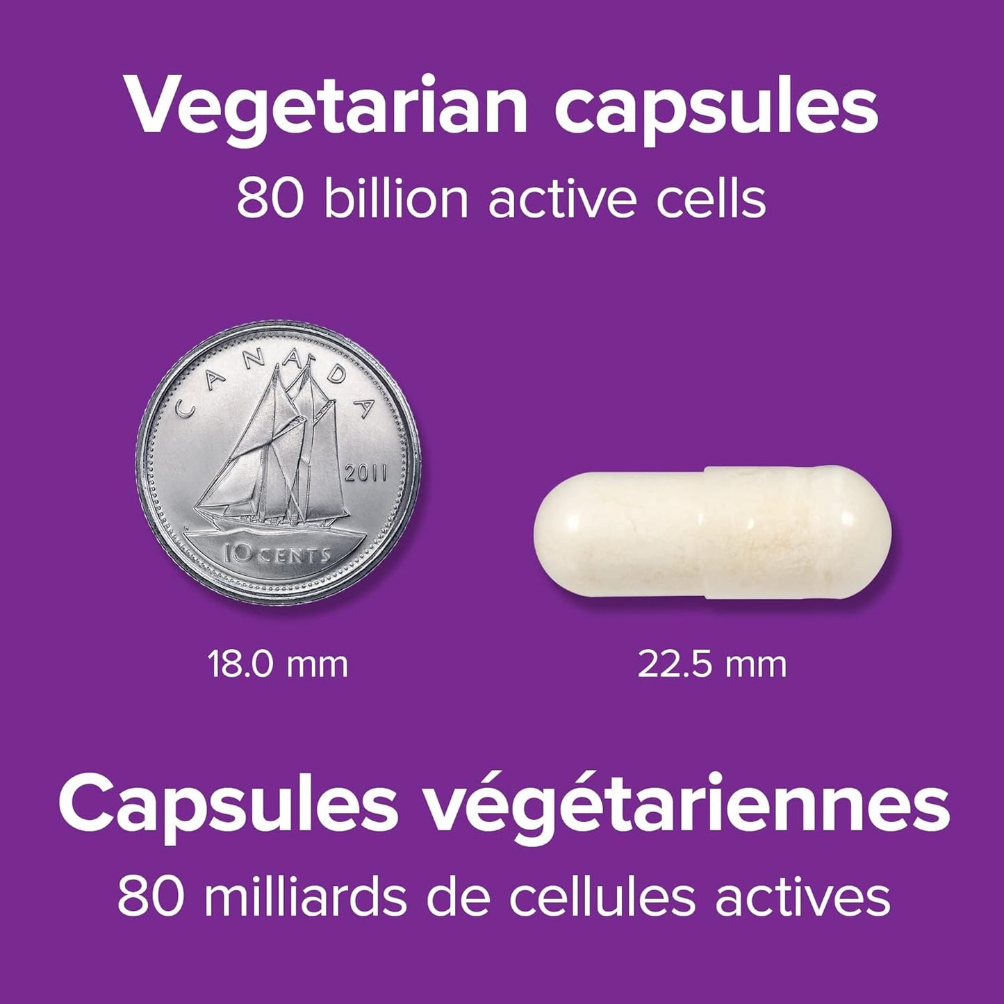Webber Naturals Probiotic 80 Billion Active Cells, 8 Probiotic Strains, 20 Capsules, For Digestive Health, Vegetarian