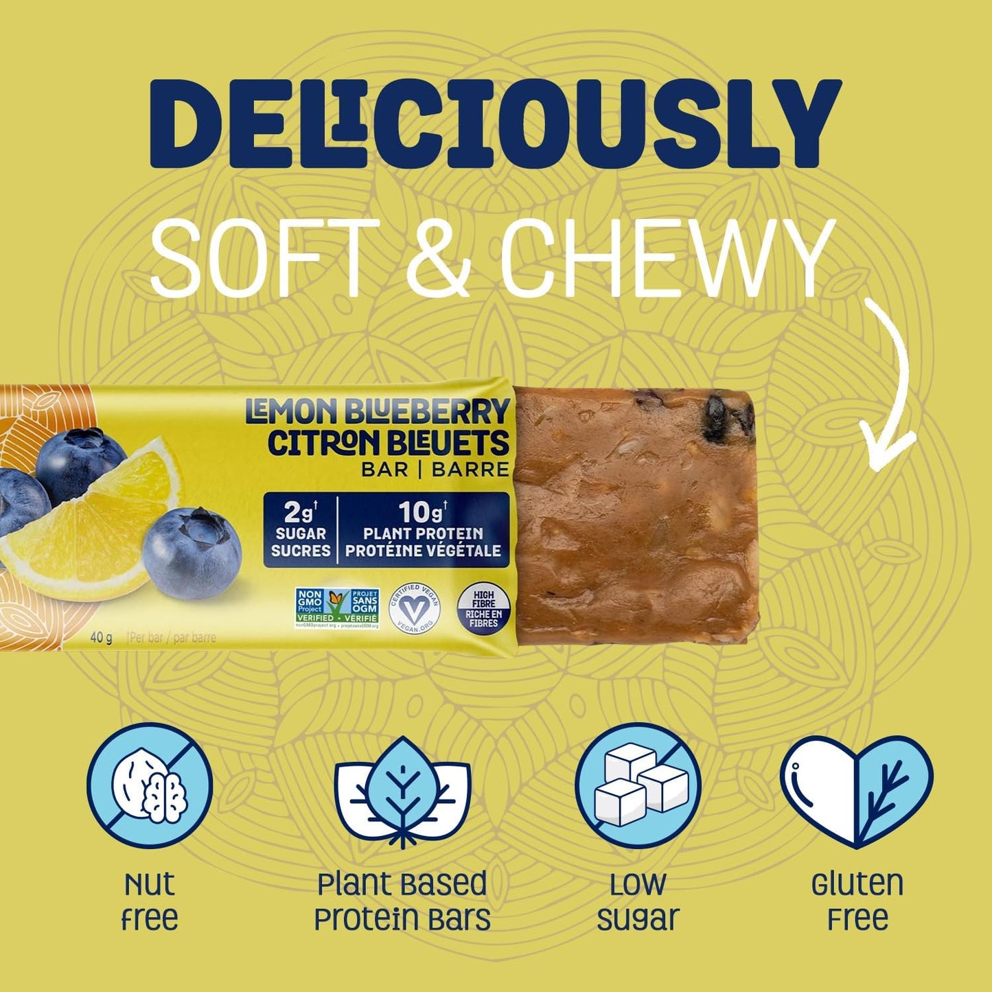 HUNGRY BUDDHA Plant-Based Protein Bars, Low Sugar, High Protein Energy Snack, Dairy-Free & Peanut-Free, Pack of 12, Lemon Blueberry