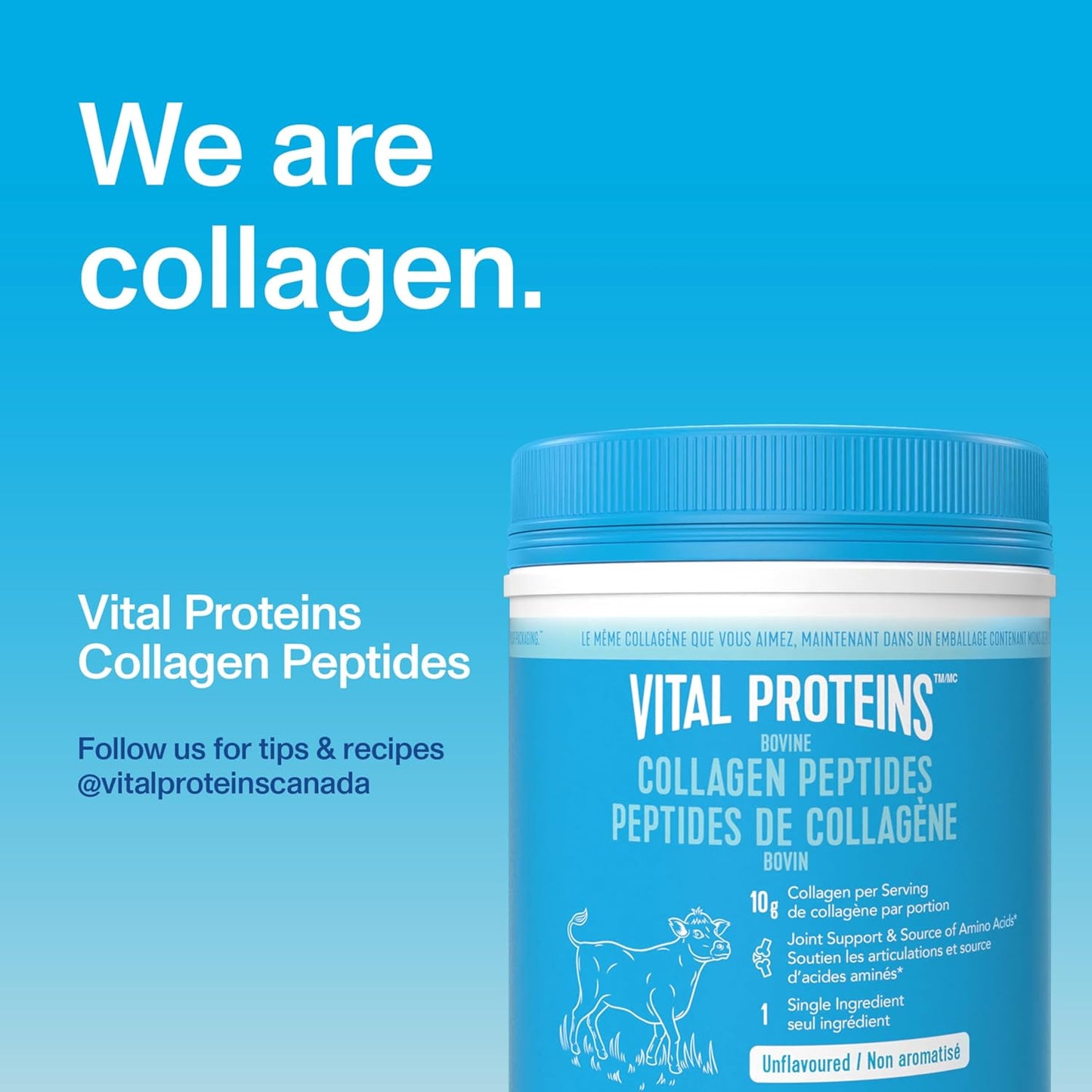 VITAL PROTEINS 牛胶原蛋白肽粉,有助于形成胶原蛋白并减轻与骨关节炎相关的关节疼痛,氨基酸来源,不添加糖,不含人工色素或香料,567 克