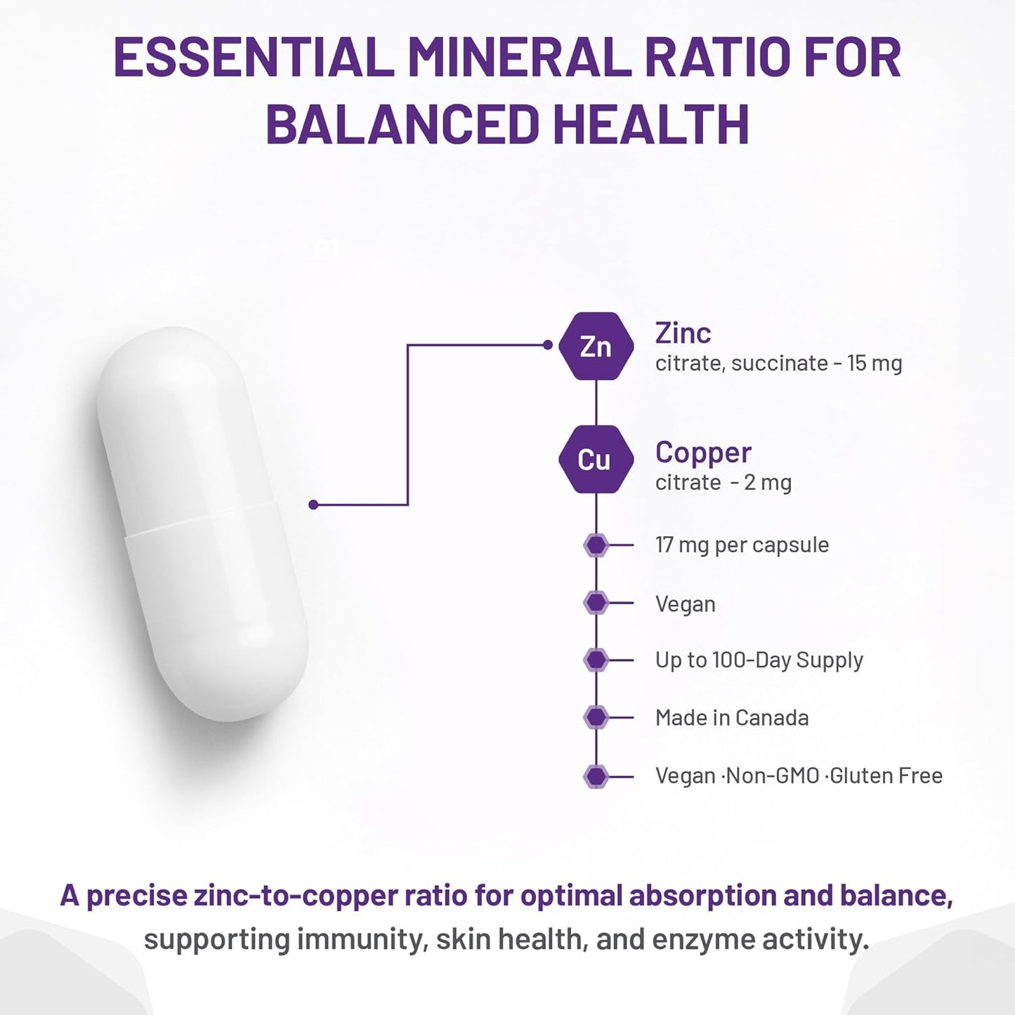 AOR - 锌铜平衡胶囊 100 粒,100 天供应量 - 两种关键矿物质的均衡比例,有益于整体健康 - 柠檬酸锌和铜补充剂 - 男士理想选择