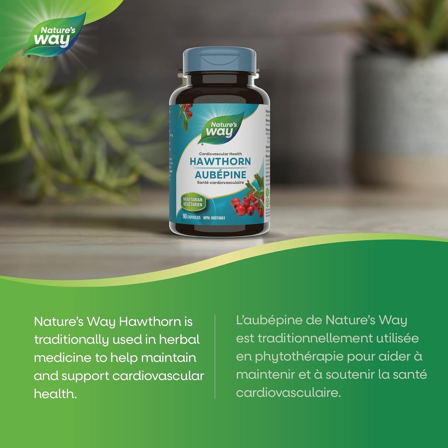 Nature's Way Premium Hawthorn Extract Capsules - Cardiovascular Health Support, Used in Herbal Medicine, 90 Vegetarian Capsules