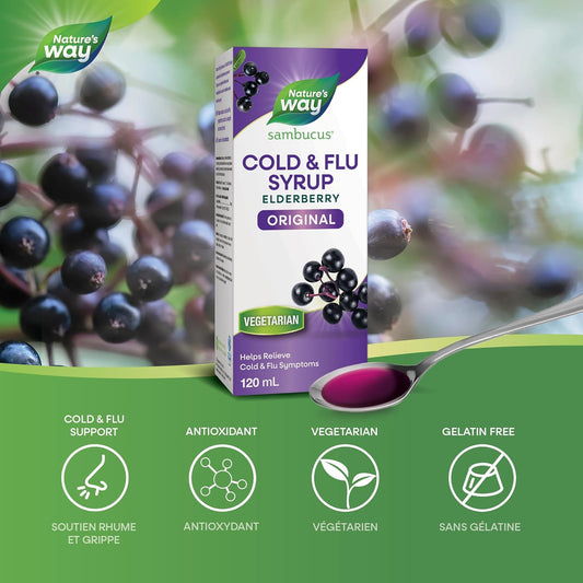 Nature's Way Sambucus Cold and Flu Care Original – Elderberry Syrup Used in Herbal Medicine to Help Relieve Symptoms (Coughs and Sore Throats) in Adults, 120 ml