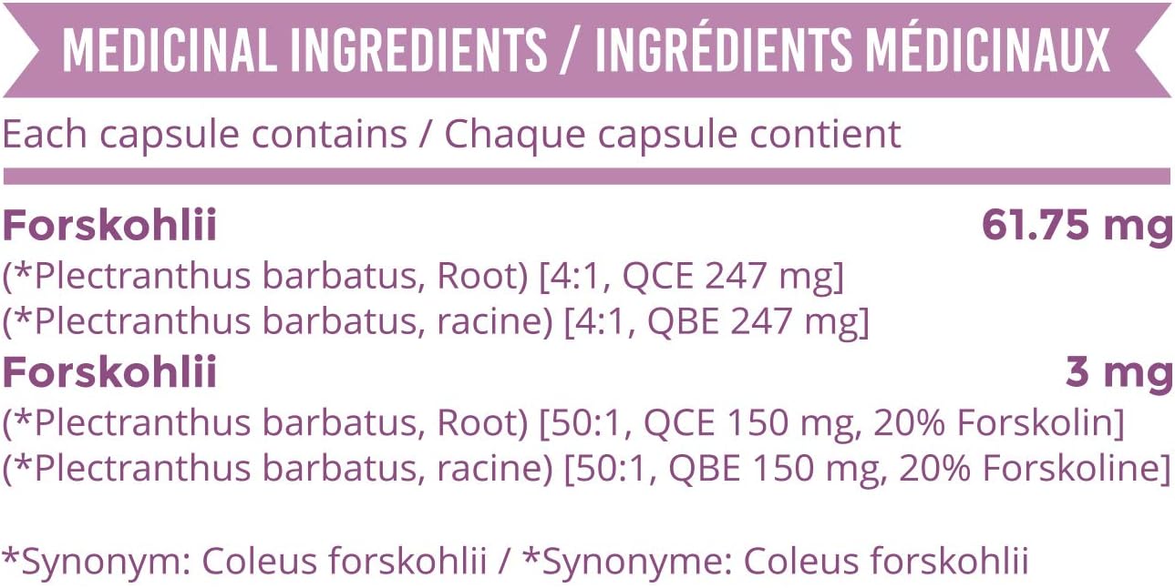 Mill Bay Forskolin Extract (Made in Canada) – 100 Capsules – 500mg Supplement for Men & Women – Helps Maintain Cardiovascular Health