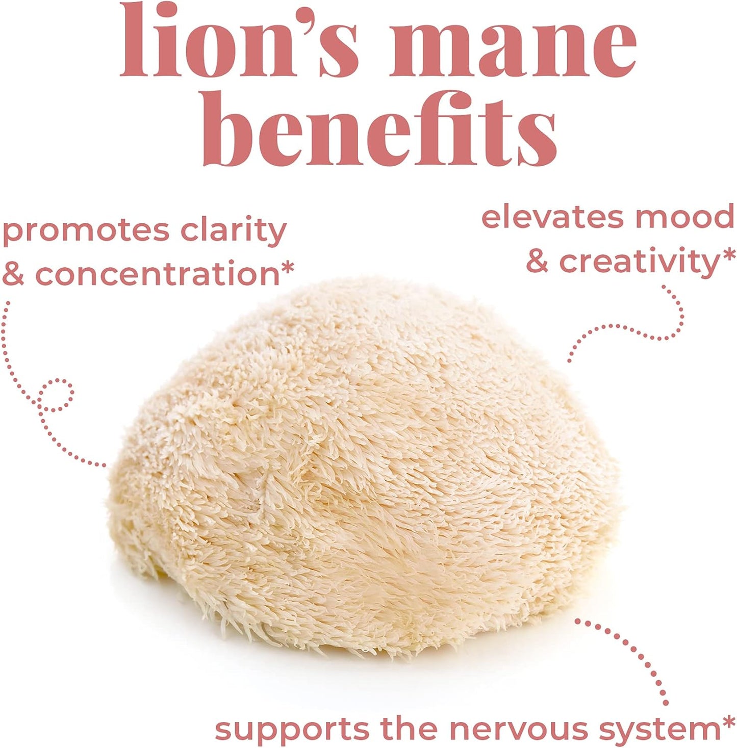 Doseology,WAKE,狮鬃菇、马黛茶和 B 族维生素提取物,子实体蘑菇酊剂,促进警觉性和清醒度,增强认知功能,100 毫升(一个月用量)