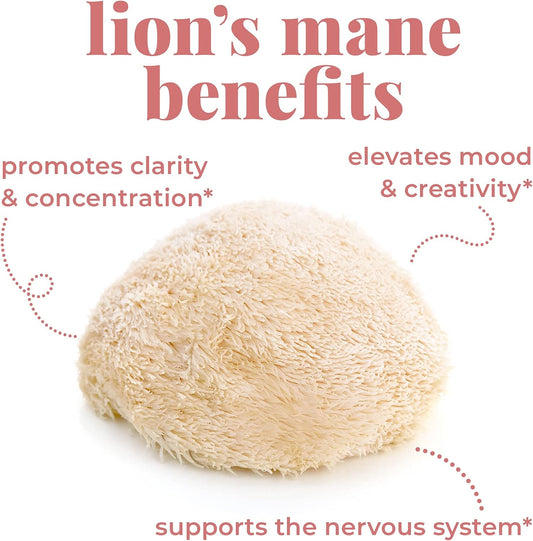 Doseology,WAKE,獅鬃菇、馬黛茶和 B 群維生素萃取物,子實體菇類酊劑,促進警覺性和清醒度,增強認知功能,100 毫升(一個月用量)