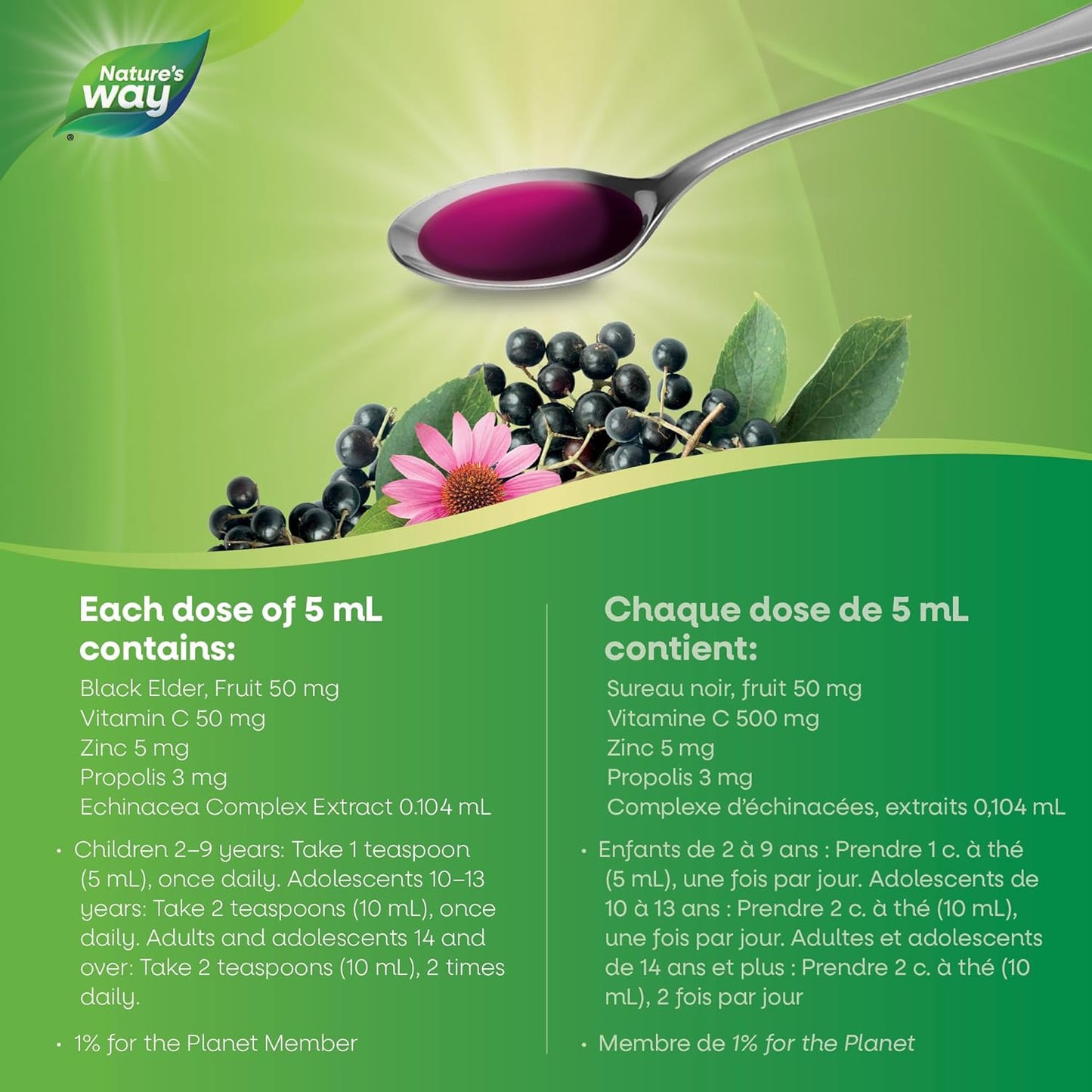Nature's Way 接骨木感冒和流感护理免疫维生素 C 和锌 - 接骨木糖浆与紫锥菊和蜂胶 - 用于缓解 2 岁以上儿童和成人症状的草药,120 毫升