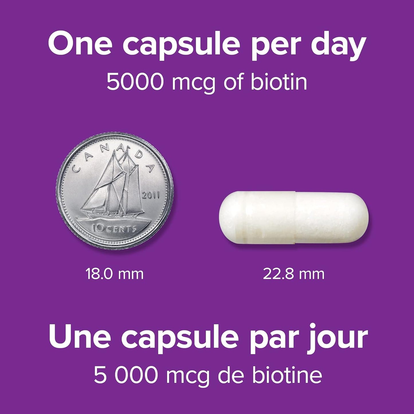 Webber Naturals Biotin 5000 mcg, 60 Vegetarian Capsules, Supports Healthy Hair, Skin & Nails, Energy Metabolism, Vegan