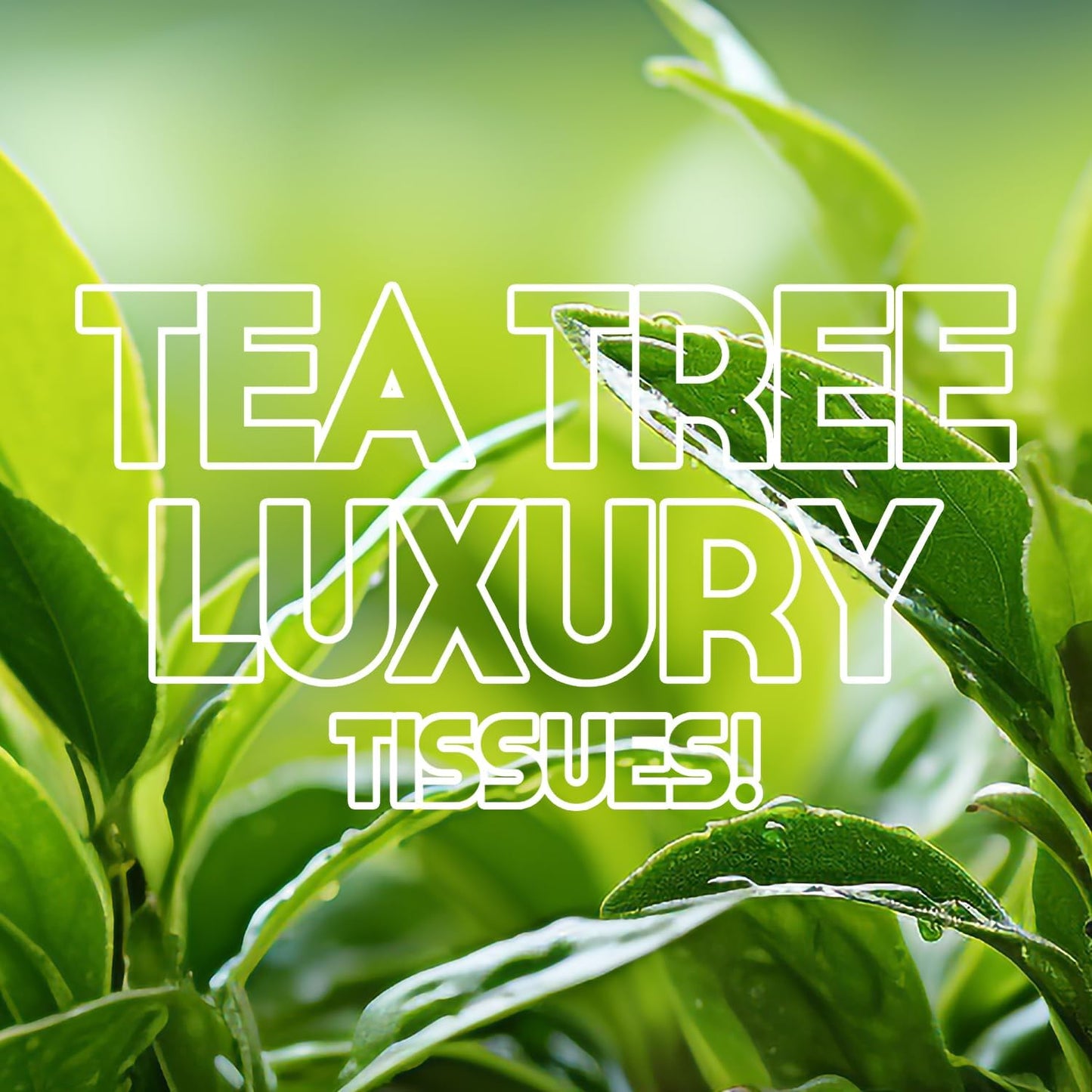 WBM Care 双层面巾纸,茶树香型 - 200 张,10 包(共 2000 张)超柔软,100% 天然,最适合冲洗