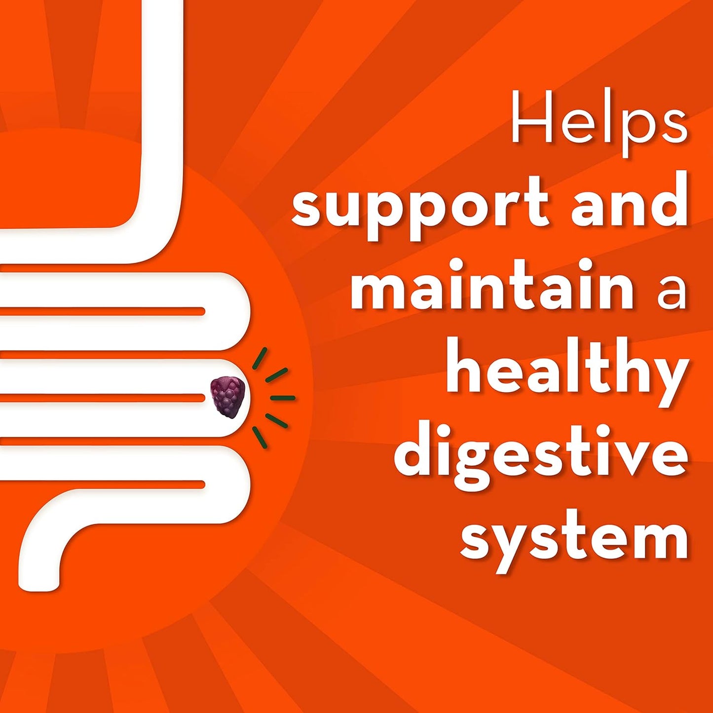 Align Advanced Probiotic Digestive Support, IBS Symptom Relief : Gas, Abdominal Discomfort & DUALBIOTIC PREbiotic + PRObiotic Gummies, Helps Support a Healthy Digestive System