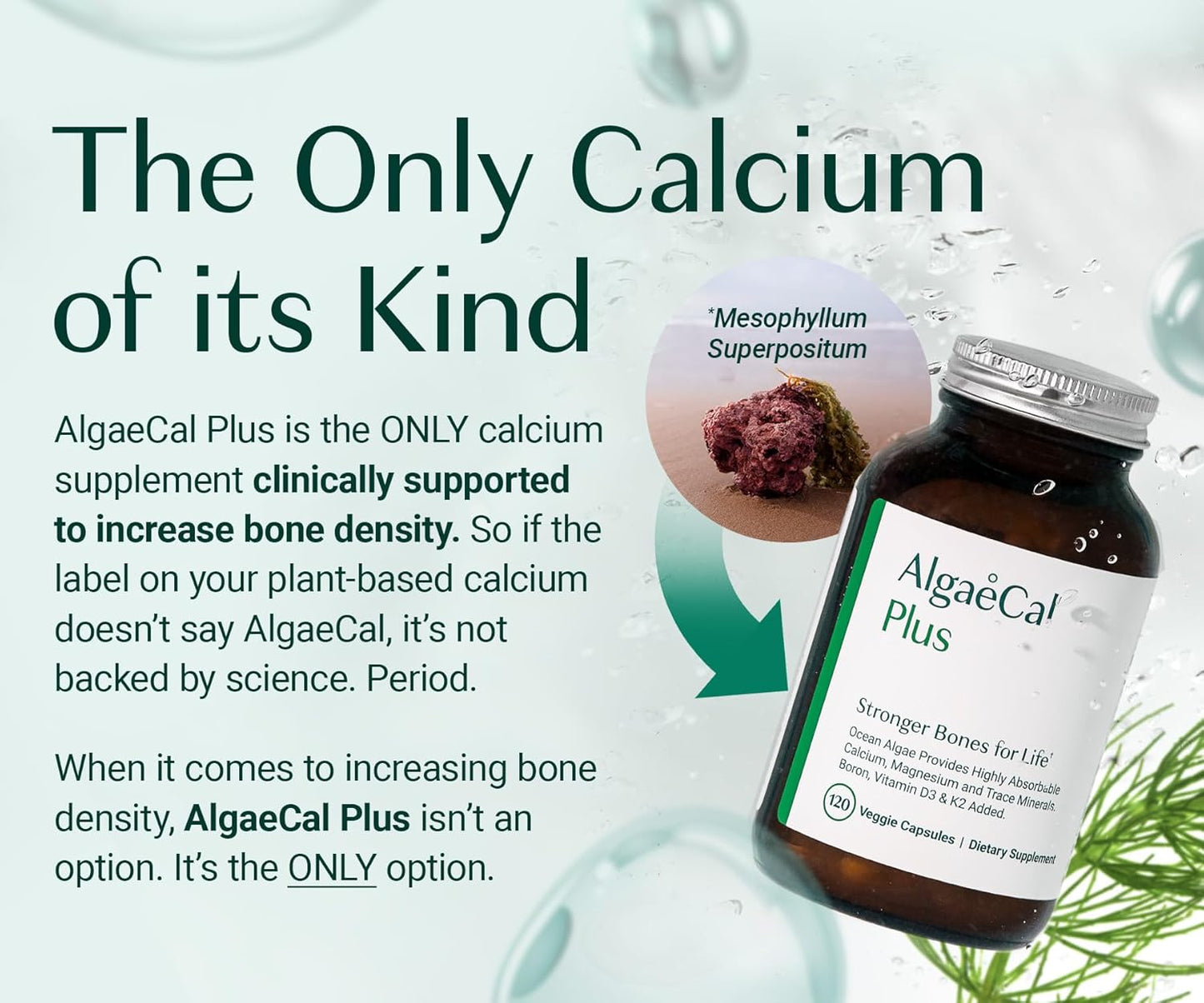 AlgaeCal - Bone Builder Pack for Bone Density, Clinically Supported Plant Based Calcium & Strontium Supplement with Vitamin D3, K2, Magnesium & Trace Minerals for Bone Health, 3 pack, Made in Canada