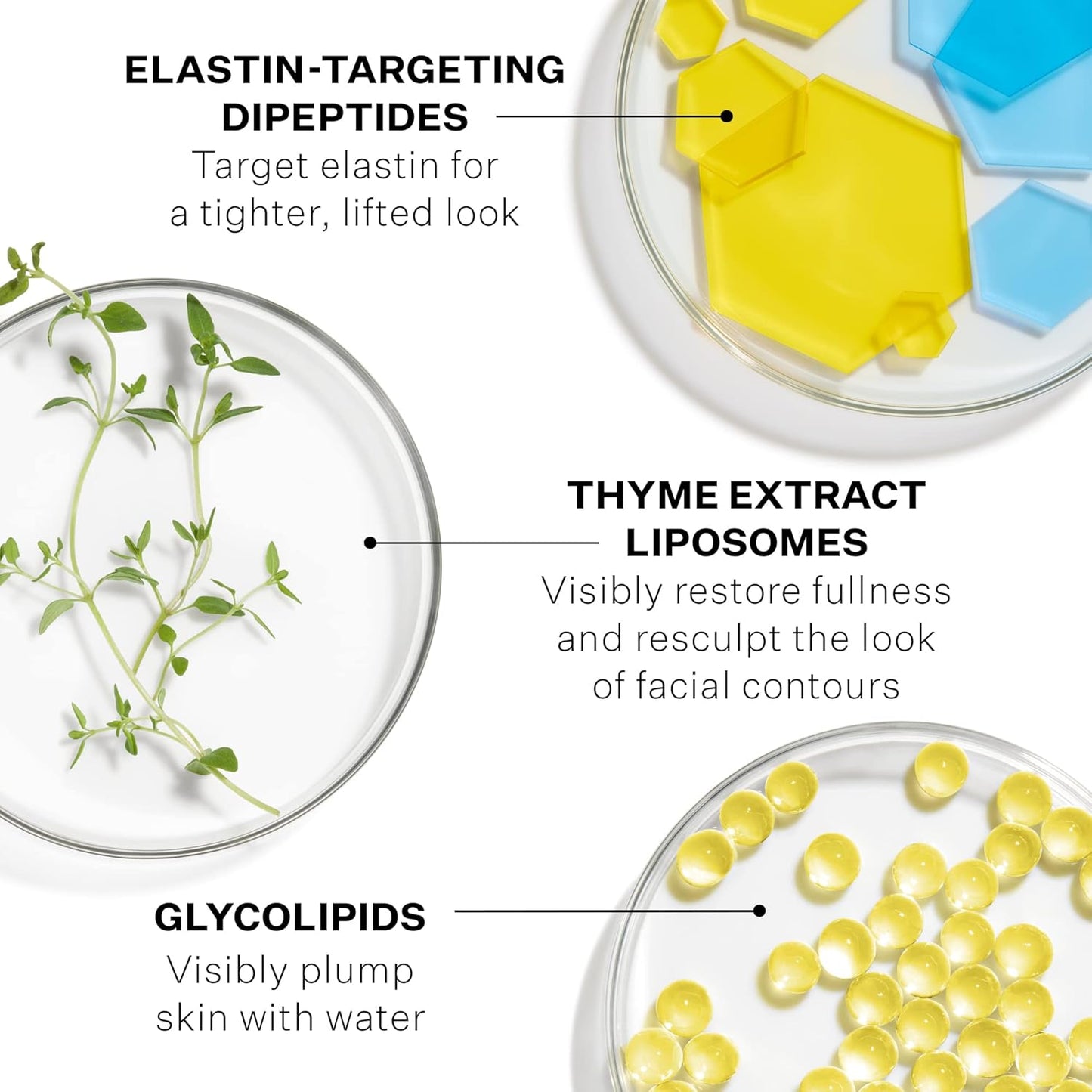 StriVectin Contour Restore™ 紧致保湿霜