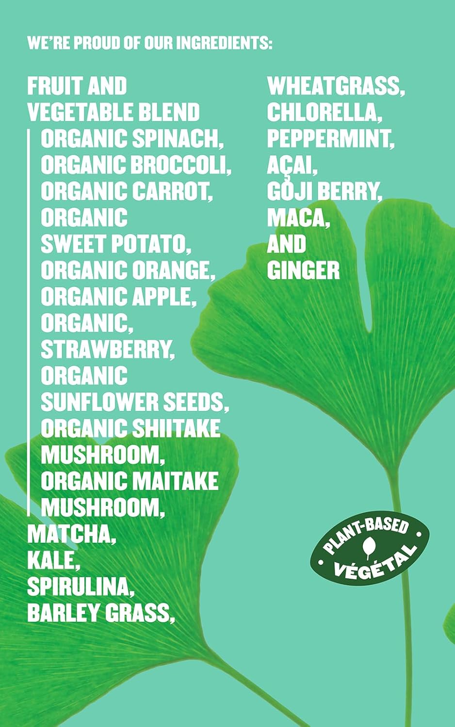 SUBI Greens 超級食品粉每日蔬菜粉,1 袋可容納 20 多磅水果和蔬菜,加拿大製造,超級食品成分:抹茶、羽衣甘藍、大麥草、螺旋藻、巴西莓、枸杞 - 40 天供應量