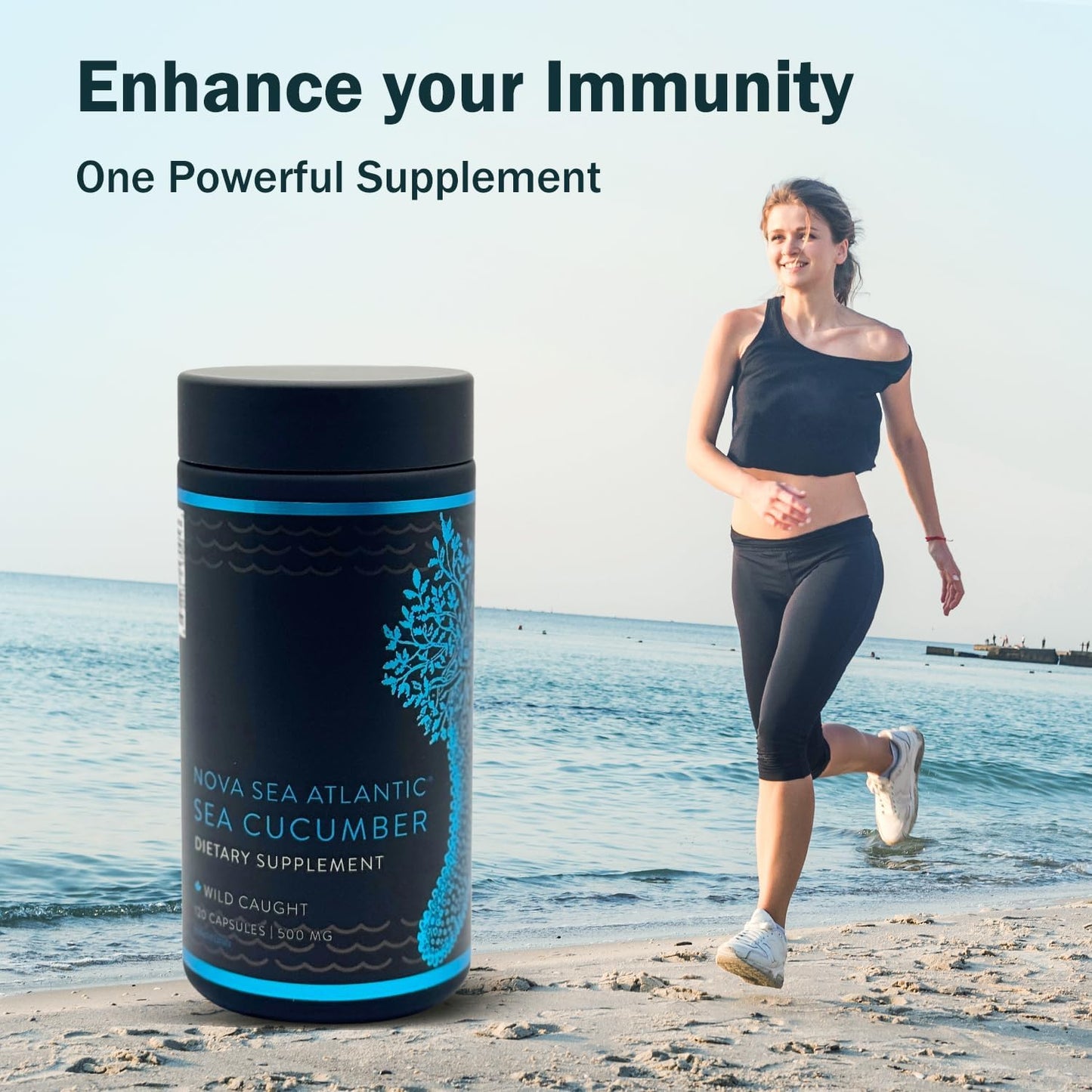 Nova Sea Atlantic Wild Sea Cucumber Supplement Capsules Antioxidant Healthy Energy Supplement with Fucosylated Chondroitin Sulfate Collagen Glycosides Vitamins Minerals