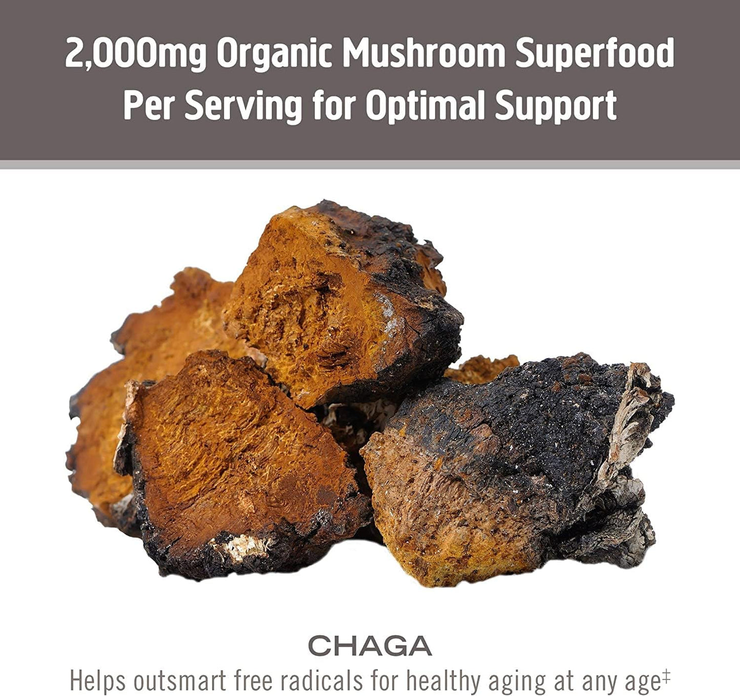 Om Chaga 蘑菇 667 毫克 75 粒胶囊 75 液体盎司