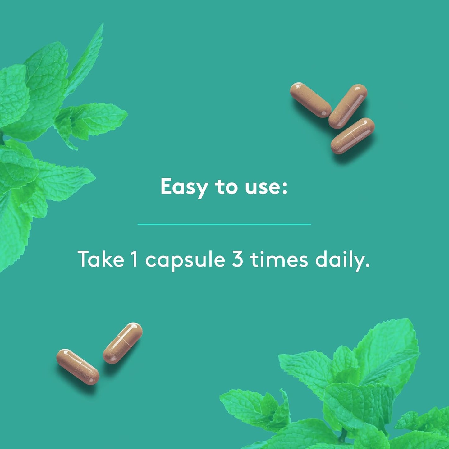 HEAL + CO. 緩解腹脹複合物 120 粒