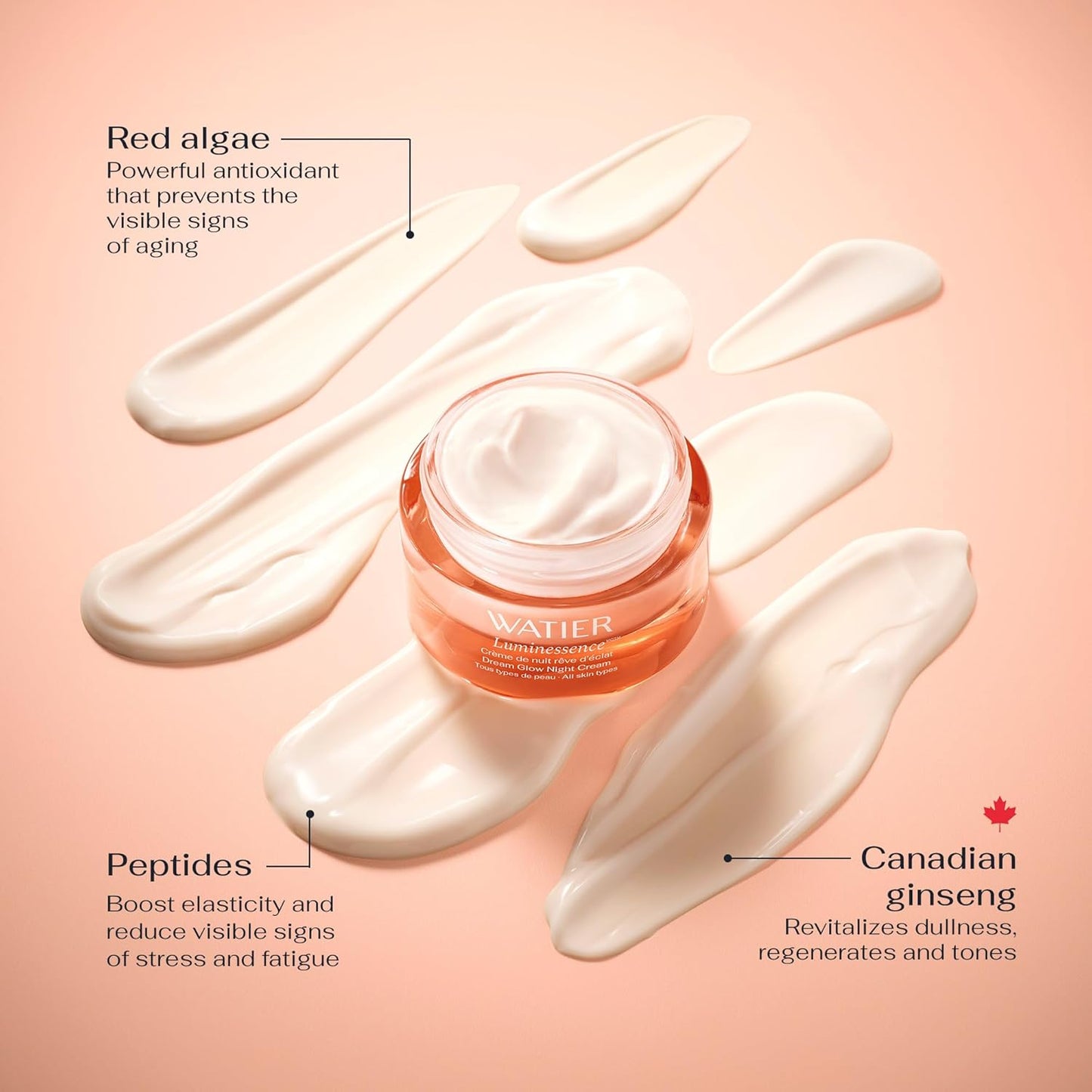 Watier Luminessence Dream Glow 晚霜,含加拿大人參和勝肽,煥發光彩和再生護膚品,乳霜配方,純素,無油,不含防腐劑,50 毫升