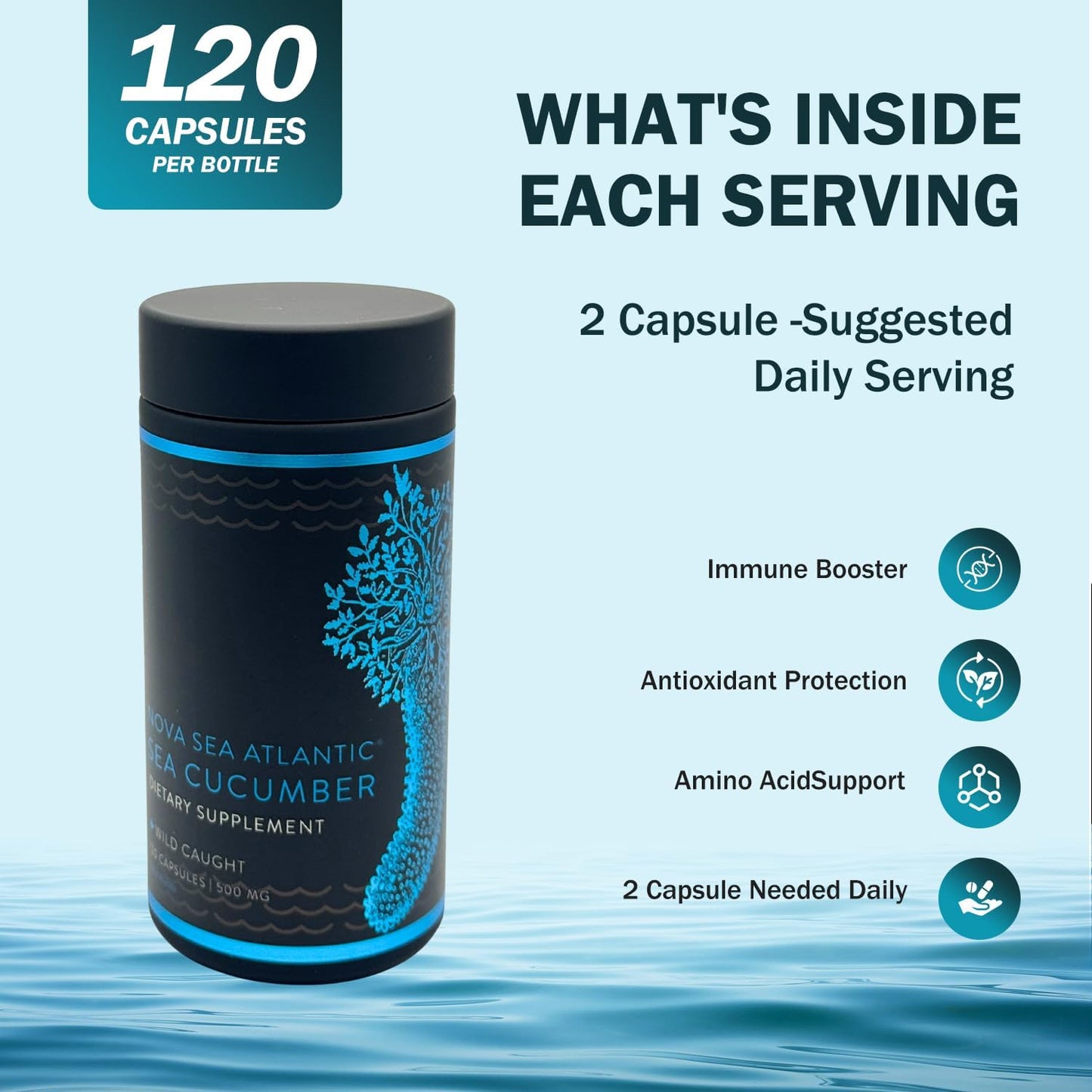 Nova Sea Atlantic Wild Sea Cucumber Supplement Capsules Antioxidant Healthy Energy Supplement with Fucosylated Chondroitin Sulfate Collagen Glycosides Vitamins Minerals