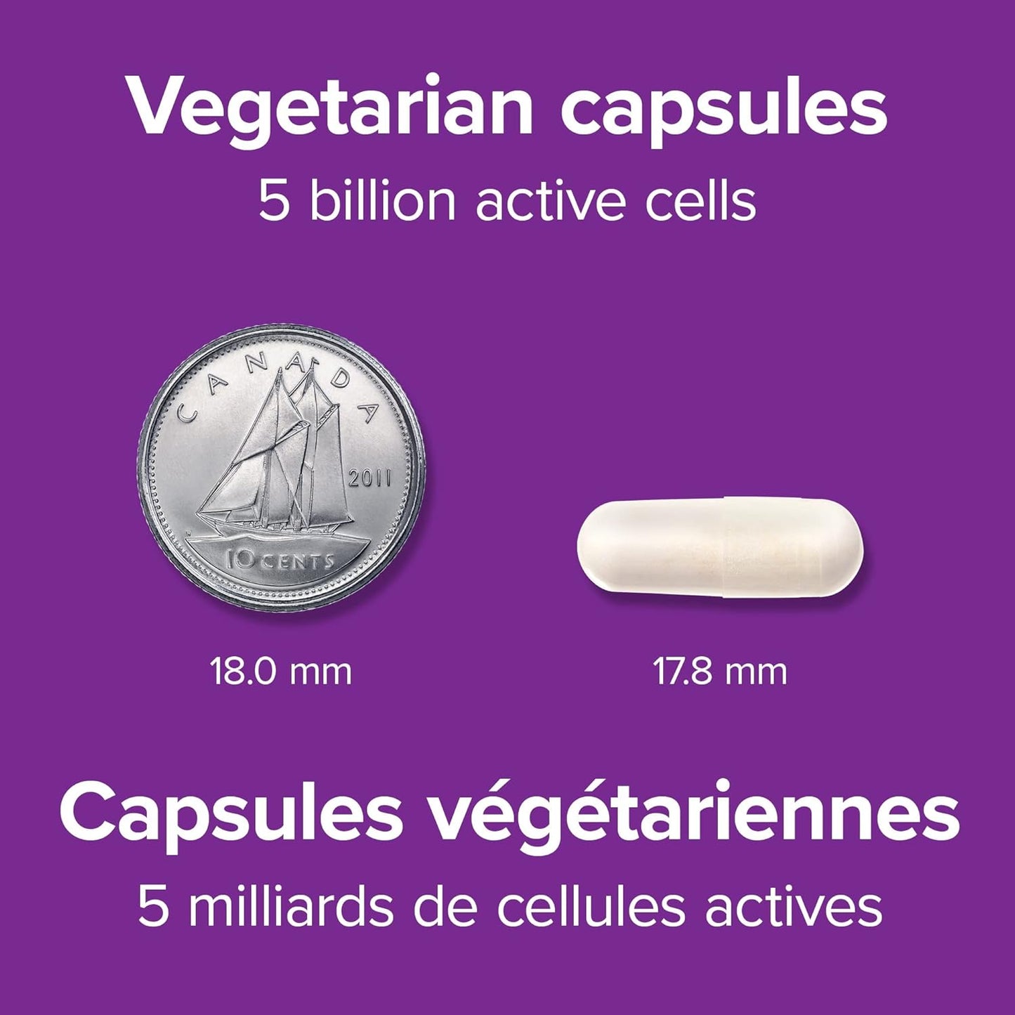 Webber Naturals Probiotic 5 Billion Active Cells, 5 Probiotic Strains, 60 Capsules, For Digestive Health, Vegetarian
