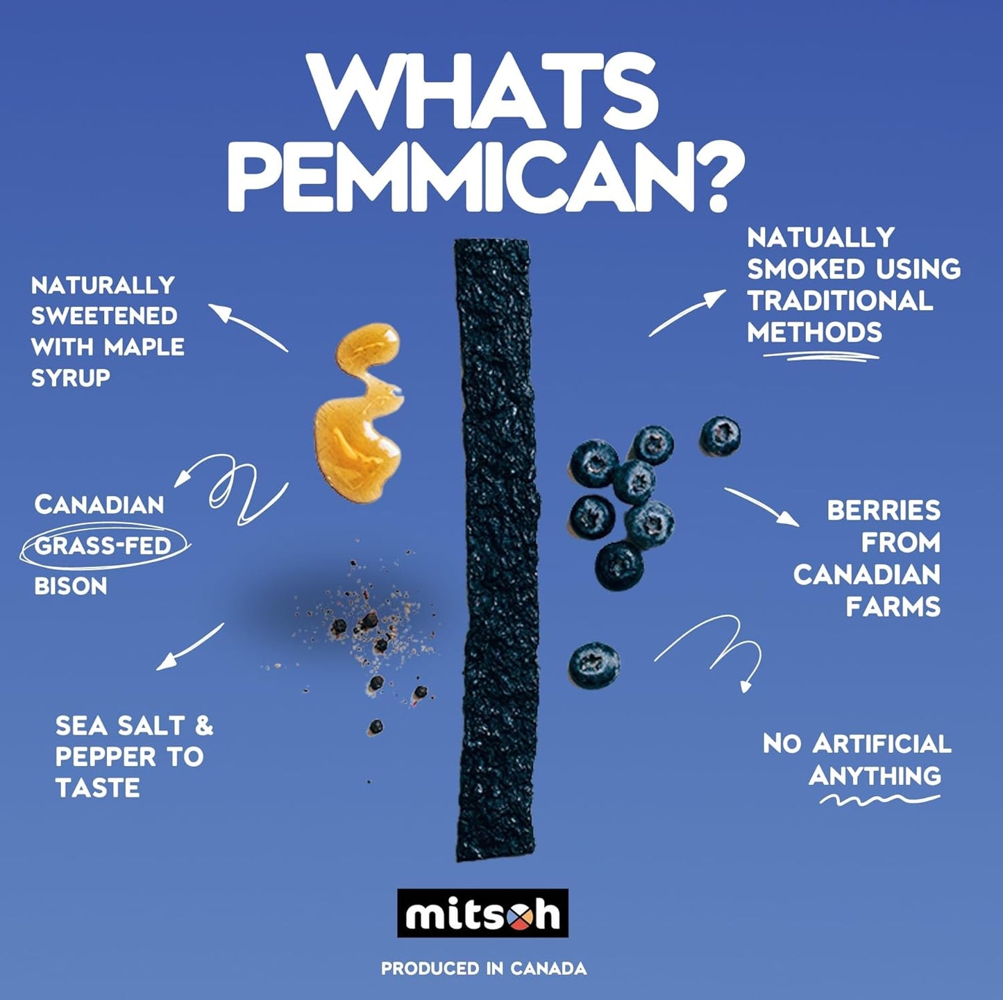 Bison Blueberry Pemmican Meat Snack | Indigenous Superfood | Made w/Grass-Fed Bison | Canadian, Indigenous-Owned | High Protein, Gluten-Free, Soy-Free, 4-Pack